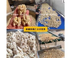 新疆核桃仁去皮機 任意品種核桃仁去皮設備 華邦堅果仁去皮機